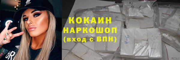 шишки Аркадак