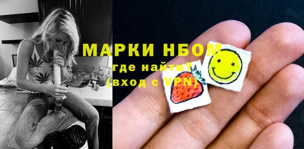 шишки Аркадак