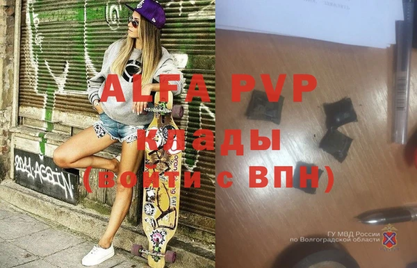 шишки Аркадак